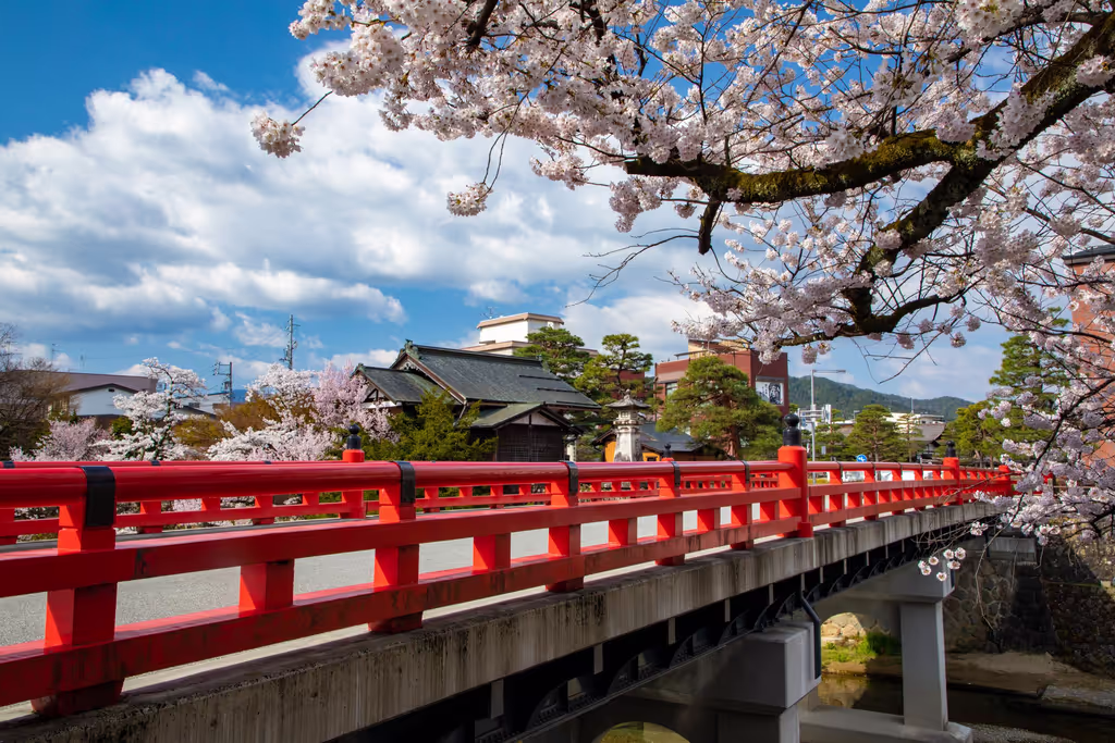 Shirakawago Private Tour - Takayama in Spring