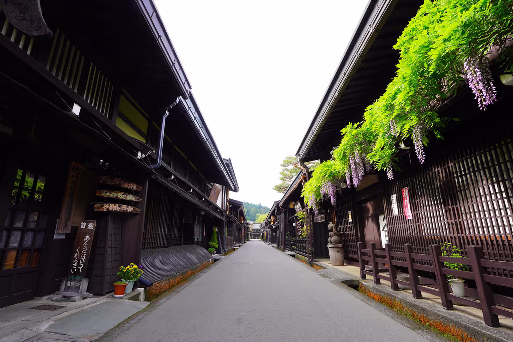 Shirakawago Private Tour - Takayama Old Street