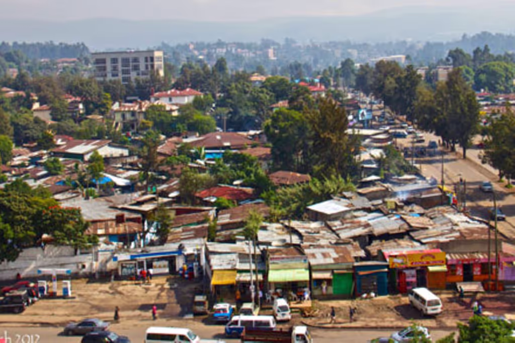 Addis Ababa Private Tour - Merkato