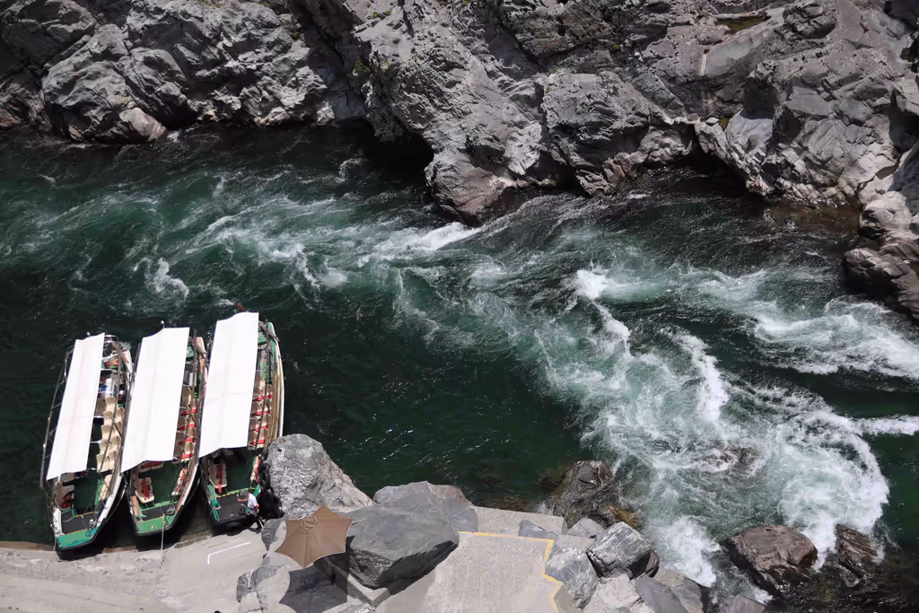 Kochi Private Tour - Oboke Gorge Sightseeing Boat