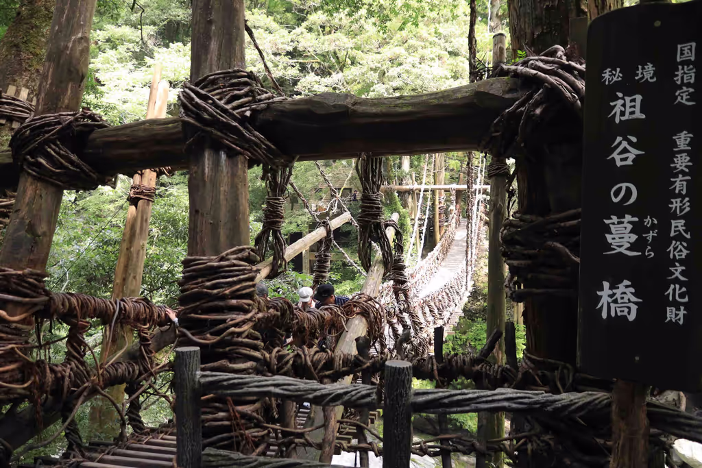 Kochi Private Tour - Iya Vine Bridge