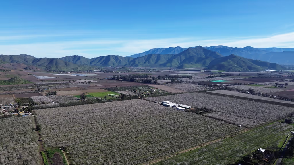 Santiago Private Tour - 