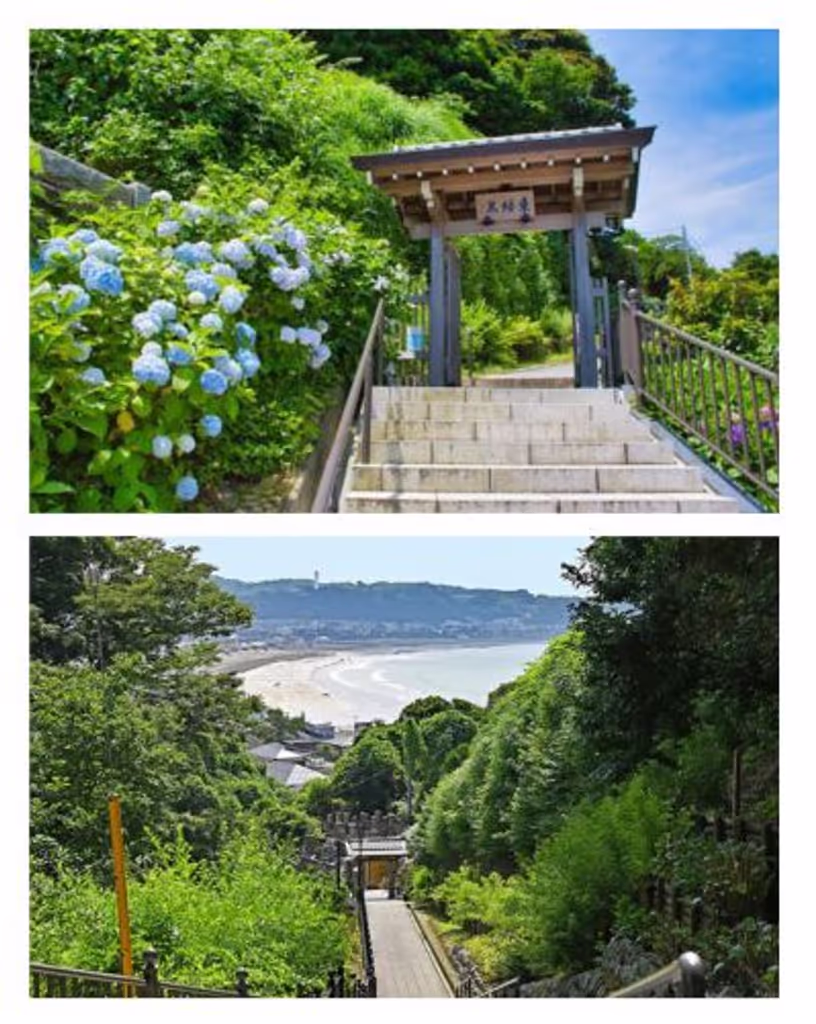 Kamakura Private Tour - 