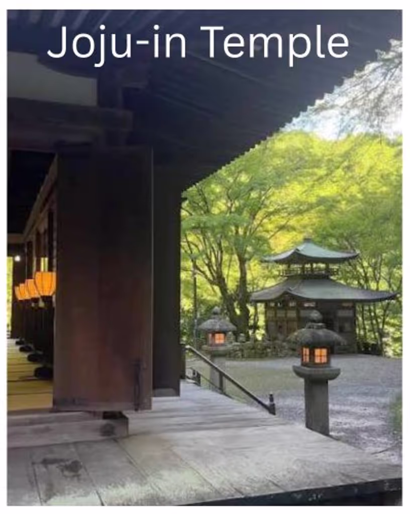 Kamakura Private Tour - 