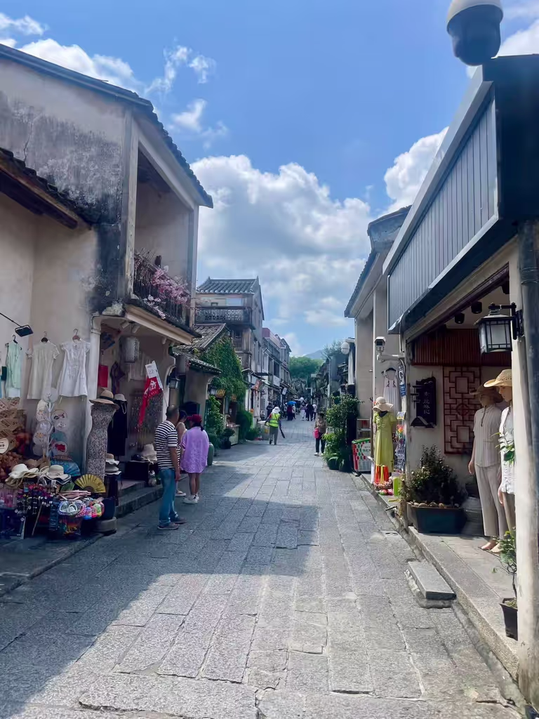Shenzhen Private Tour - Dapeng Fortress