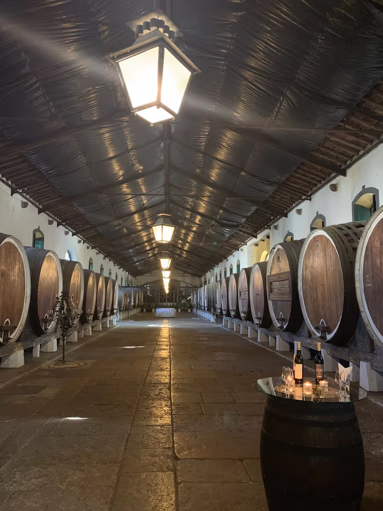 Lisbon Private Tour - Colares Winery