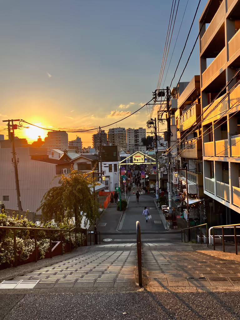 Tokyo Private Tour - Yanaka au crépuscule