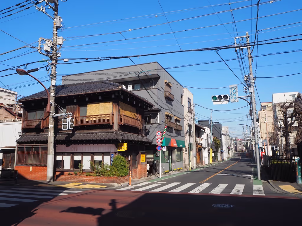 Tokyo Private Tour - Ueno-sakuragi