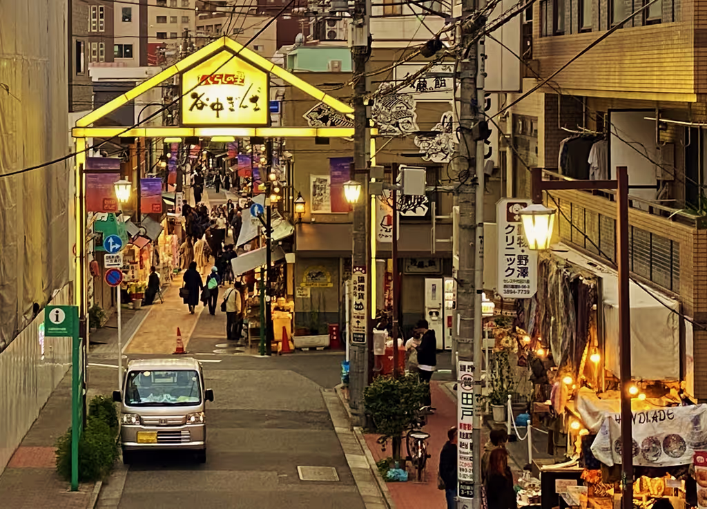 Tokyo Private Tour - Yanaka Ginza