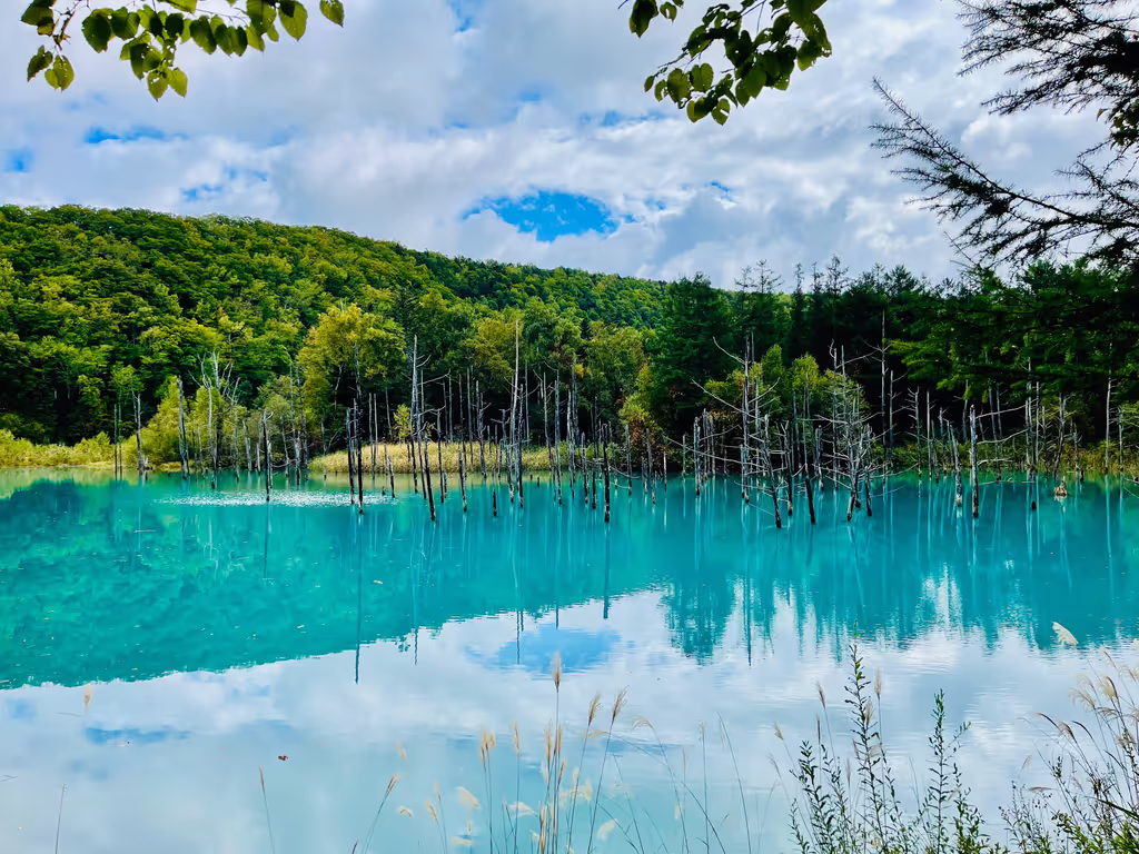 Hokkaido Private Tour - Shirogane Blue Pond