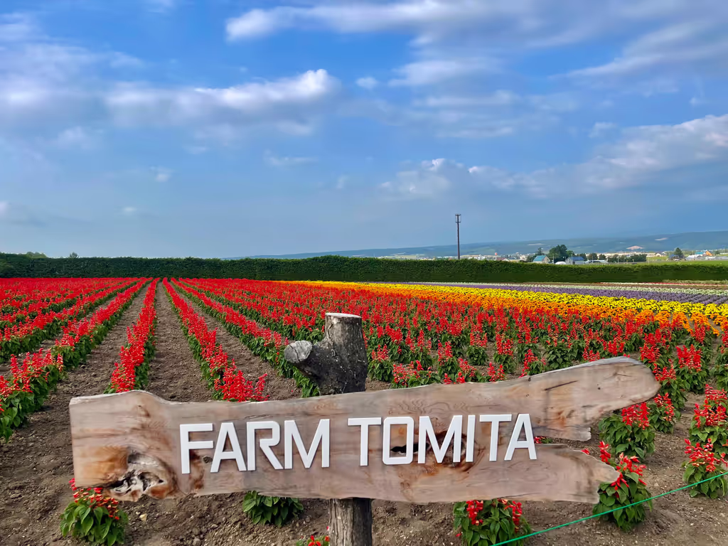 Hokkaido Private Tour - Different Flowers at Farm Tomita