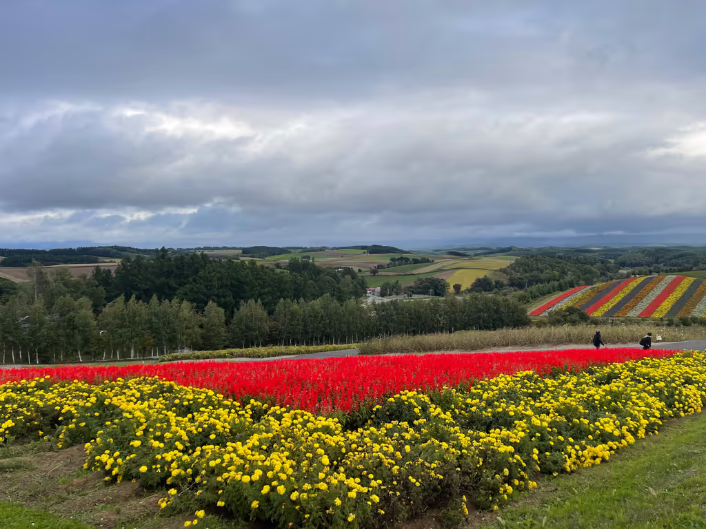 Hokkaido Private Tour - Shikisai no Oka
