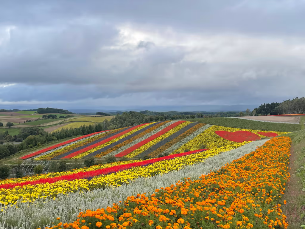 Hokkaido Private Tour - Shikisai no Oka