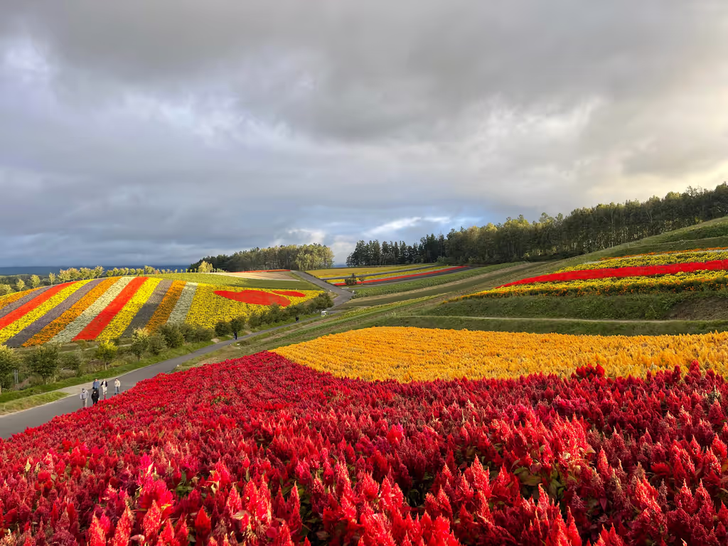 Hokkaido Private Tour - Shikisai no Oka