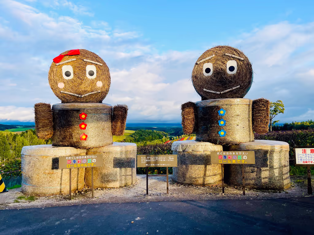 Hokkaido Private Tour - Shikisai no Oka