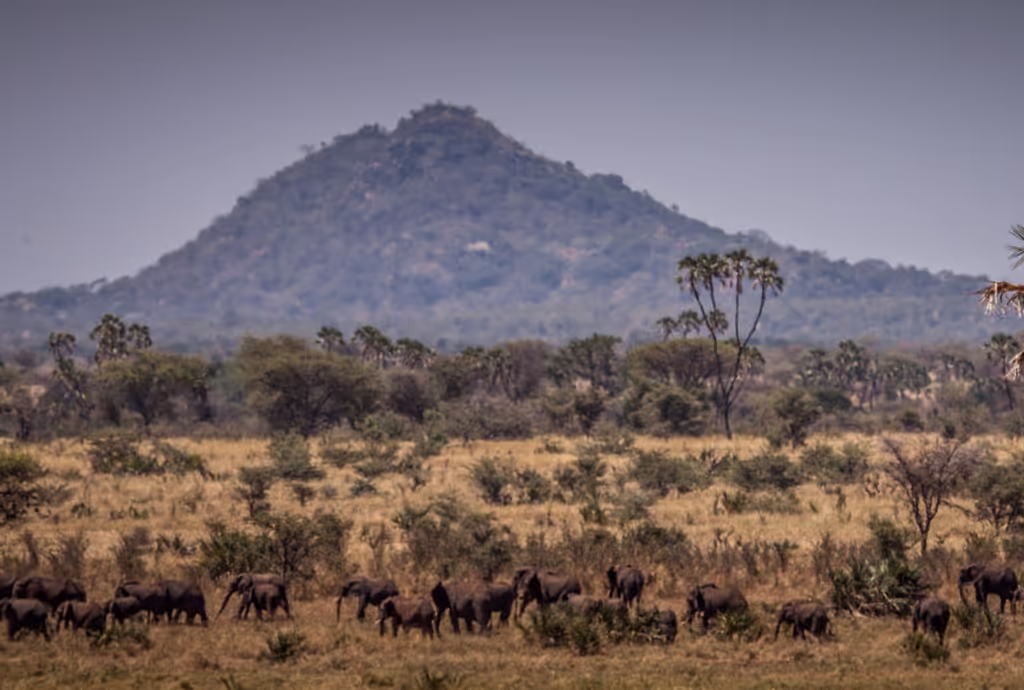Nairobi Private Tour - 