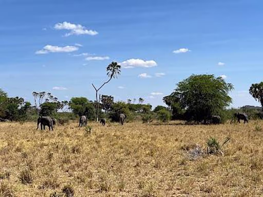 Nairobi Private Tour - 
