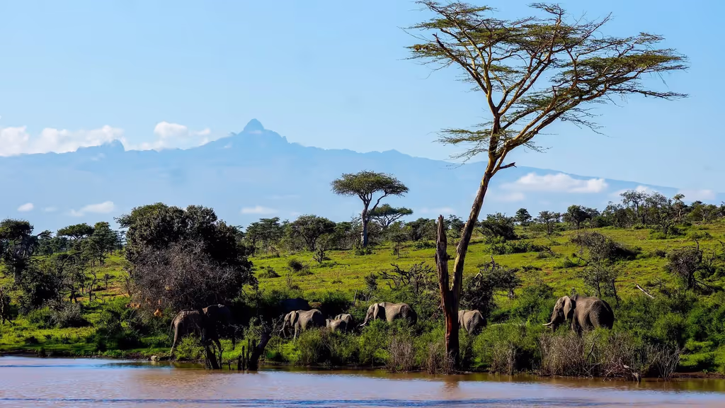 Nairobi Private Tour - 