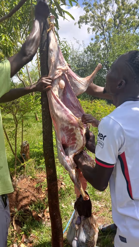 Nairobi Private Tour - 