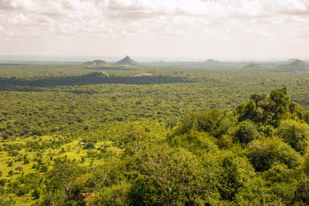 Nairobi Private Tour - 
