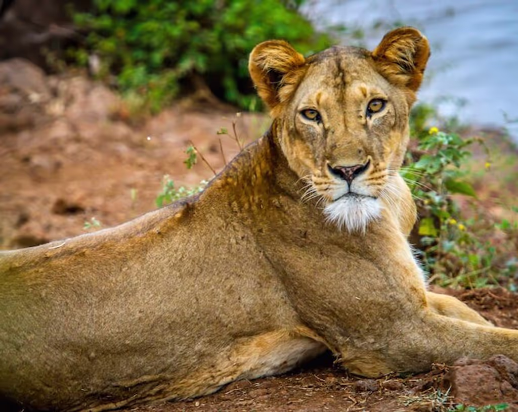 Nairobi Private Tour - 