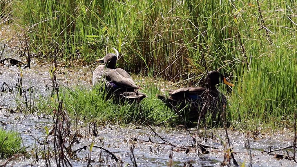 Nairobi Private Tour - 