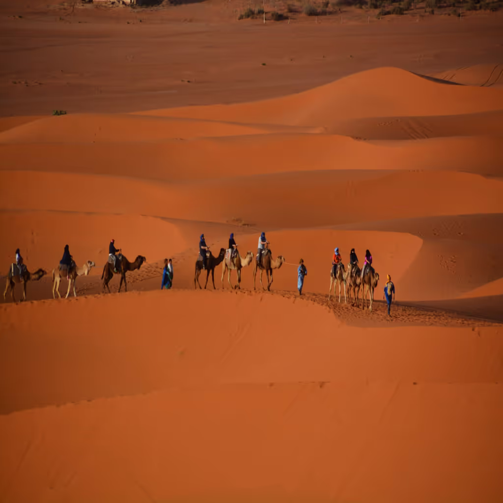 Casablanca Private Tour - 