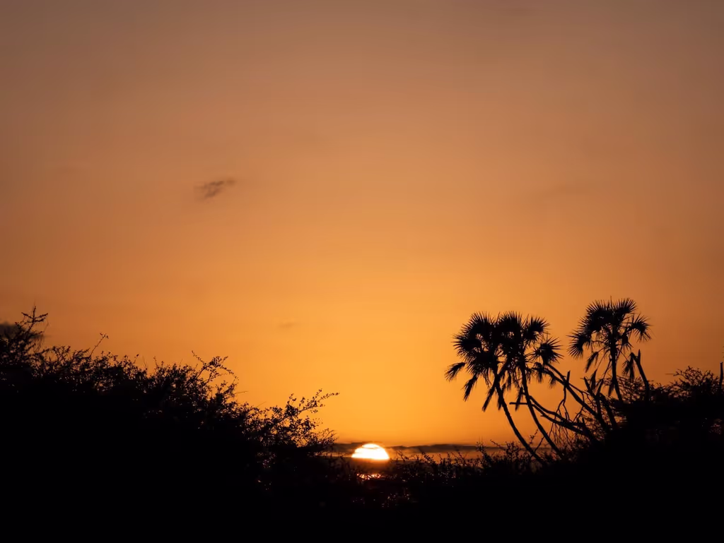 Nairobi Private Tour - 