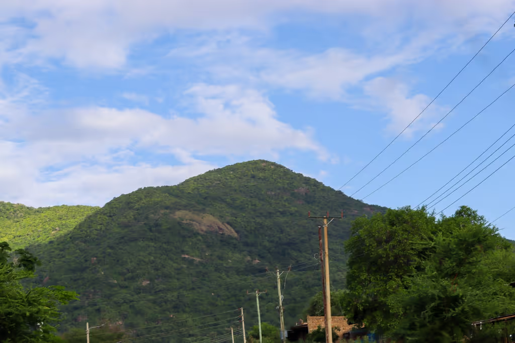 Nairobi Private Tour - 