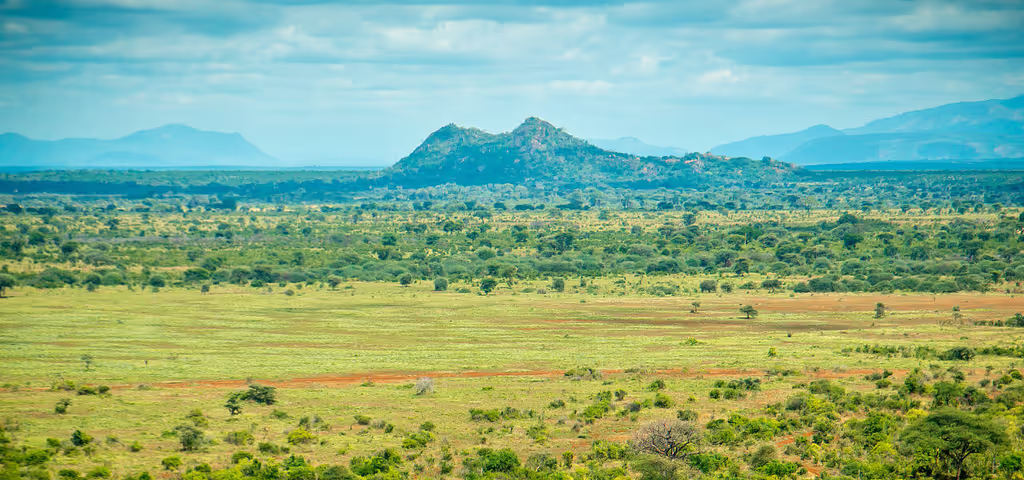 Nairobi Private Tour - 