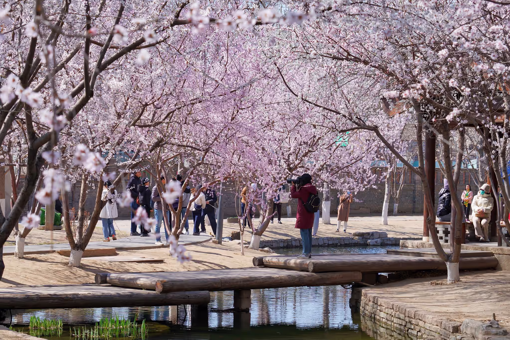 Beijing Private Tour - 