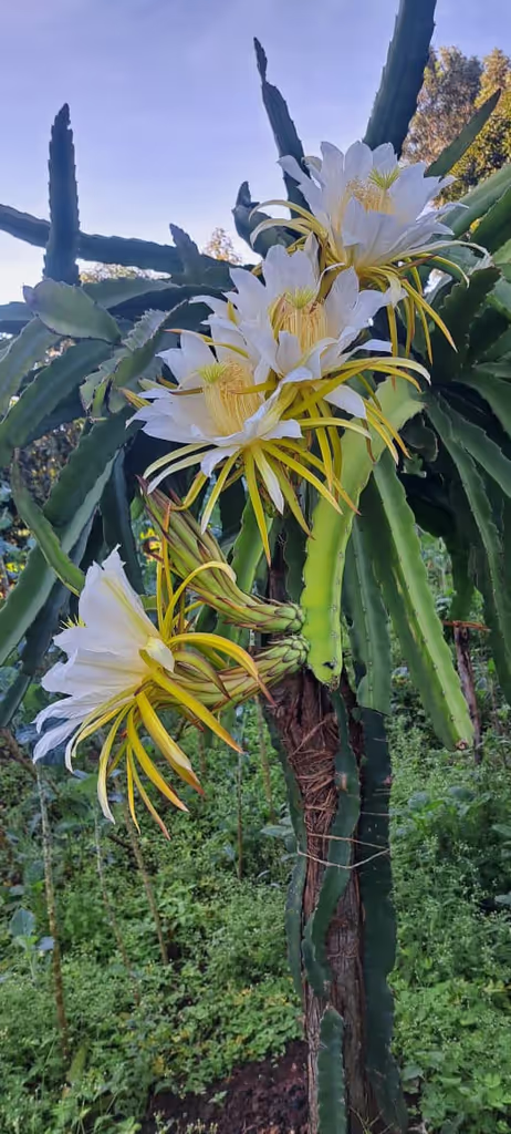 Nairobi Private Tour - 