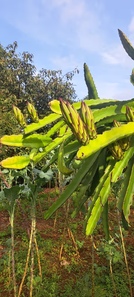 Nairobi Private Tour - 