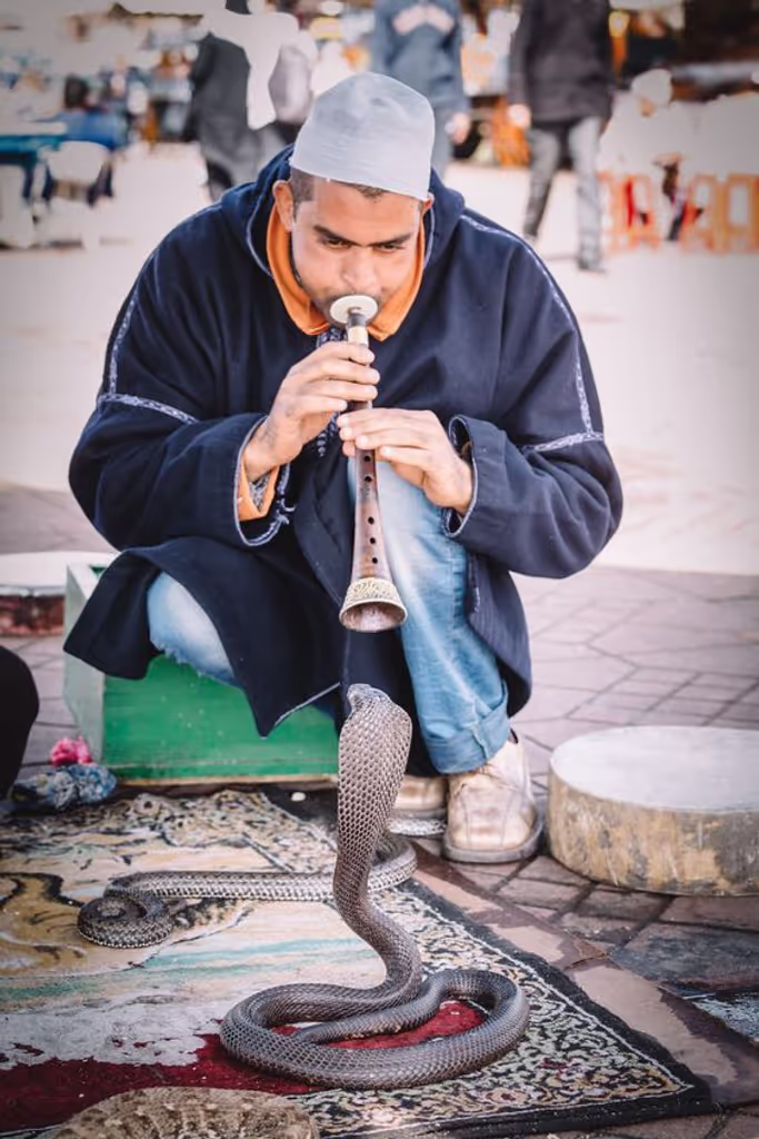 Agadir Private Tour - Serpent charmer in Jemaa el-Fnaa