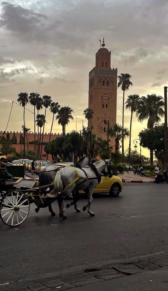 Agadir Private Tour - Horse carriage tour in Marrakech