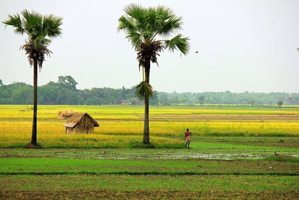 Dhaka Private Tour - 