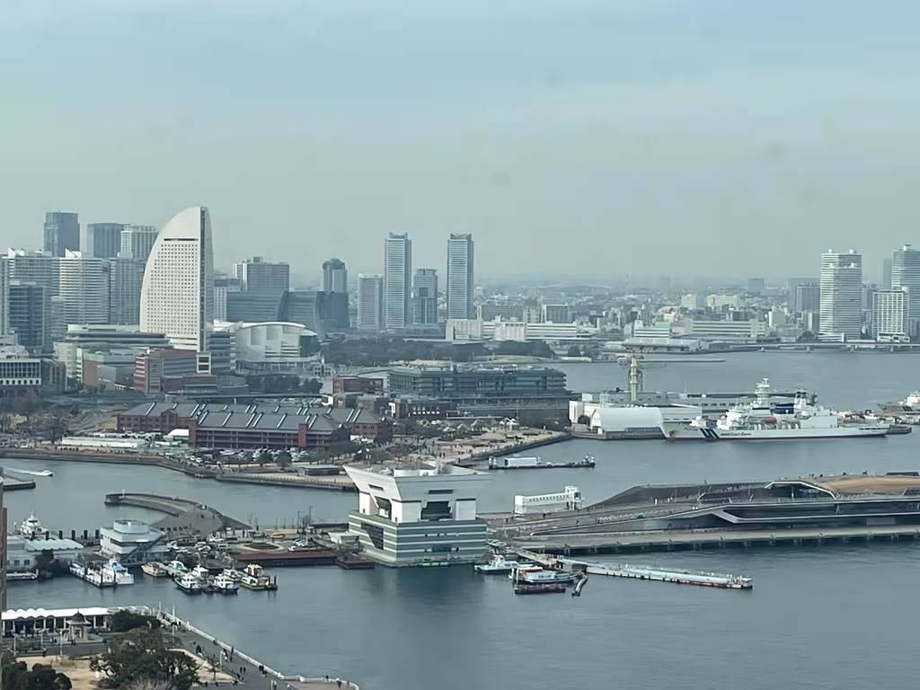 Yokohama Private Tour - Marine Tower (N/E view from the Observatory)