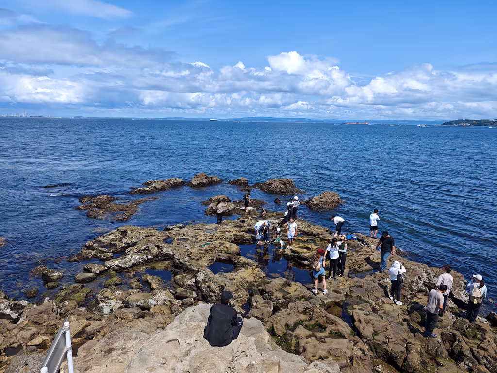 Kanagawa Private Tour - 
