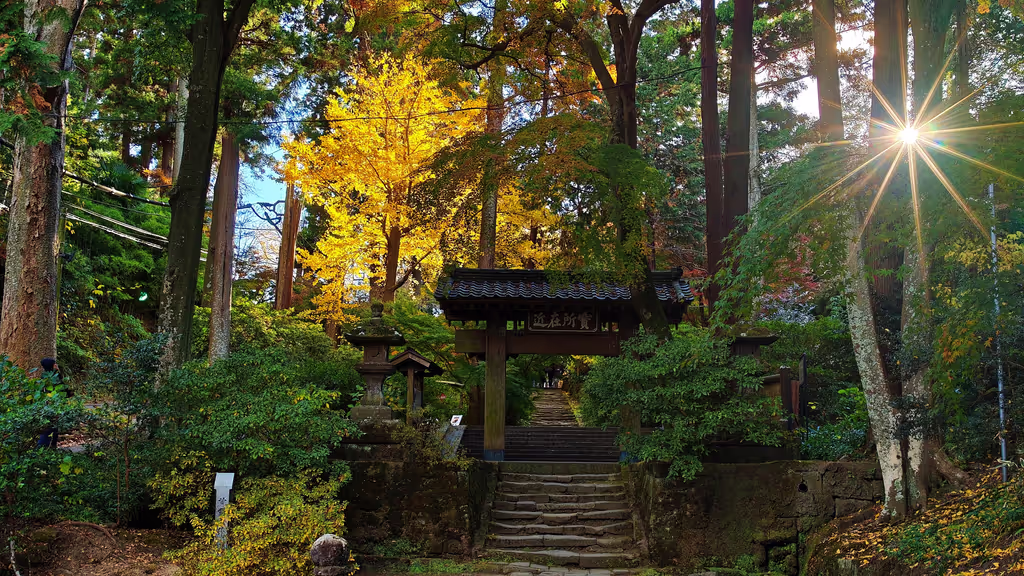 Kanagawa Private Tour - 