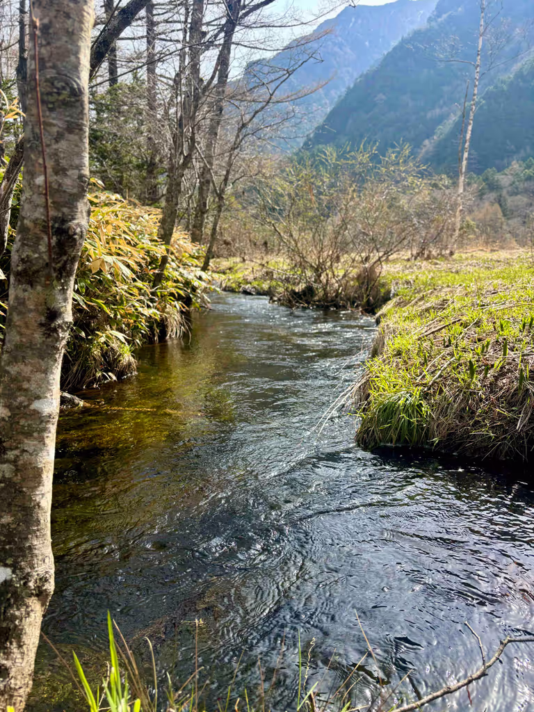 Takayama Private Tour - 