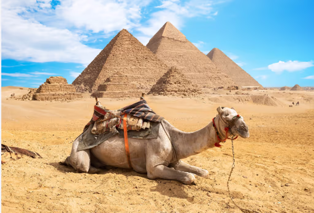 Cairo Private Tour - 