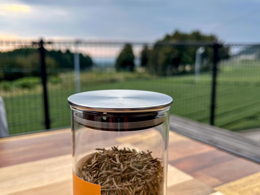 Kagoshima Private Tour - Tea Terrace