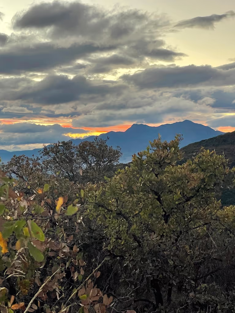 Oaxaca Private Tour - 
