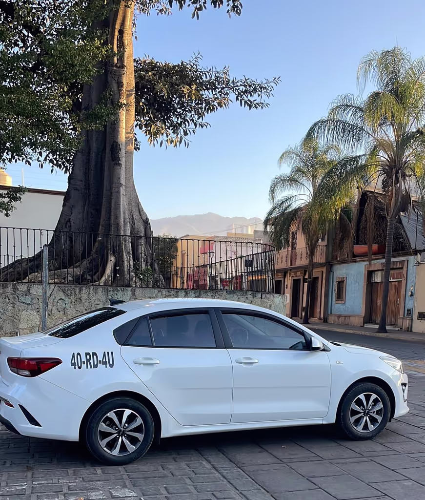 Oaxaca Private Tour - 