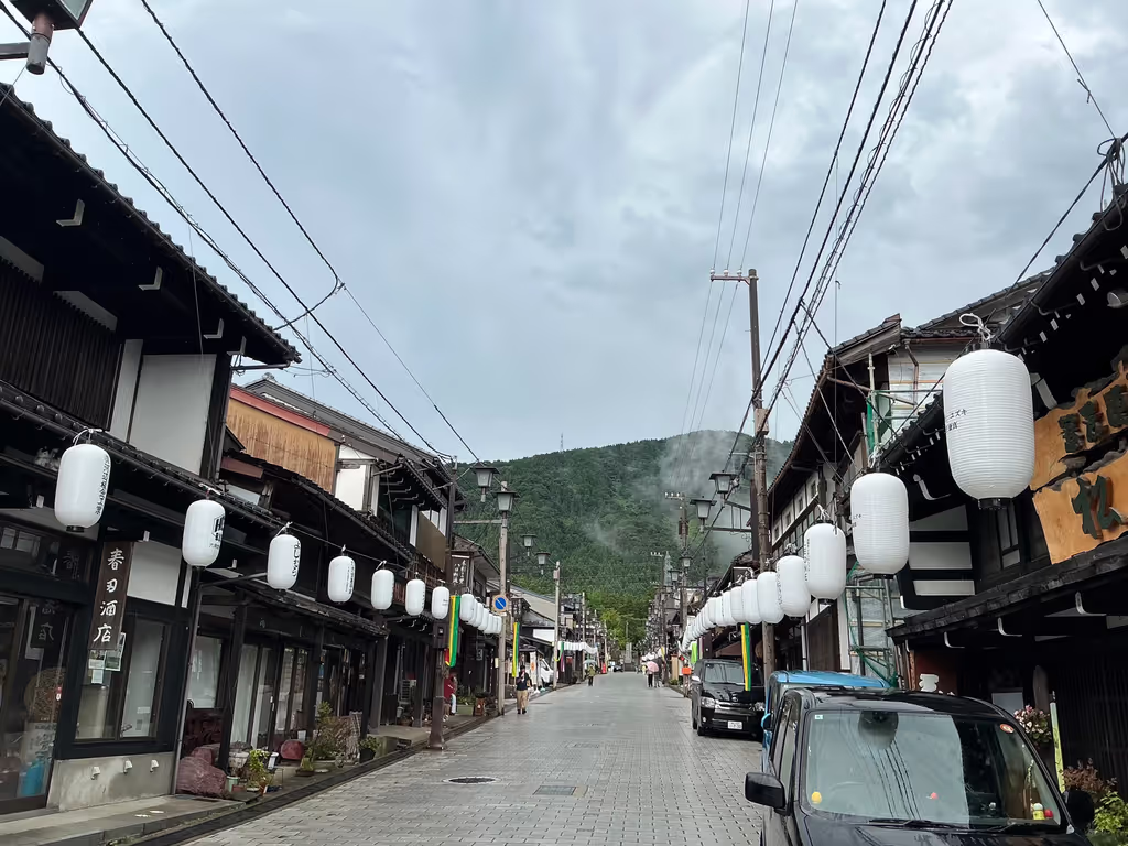 Toyama Private Tour - Yokamachi Street