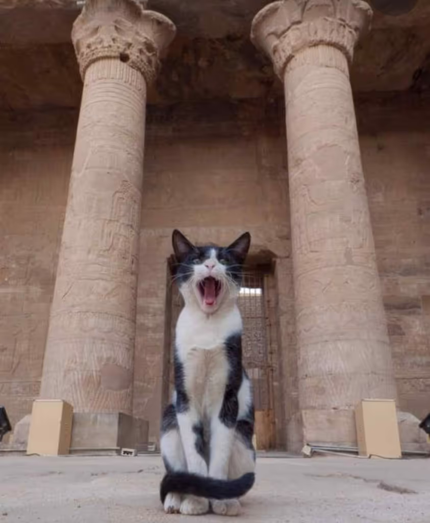 Luxor Private Tour - 