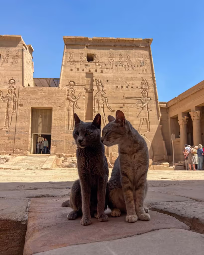 Luxor Private Tour - 