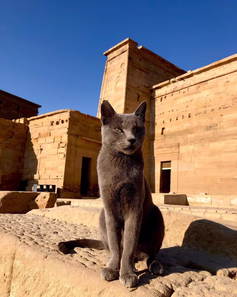 Aswan Private Tour - 