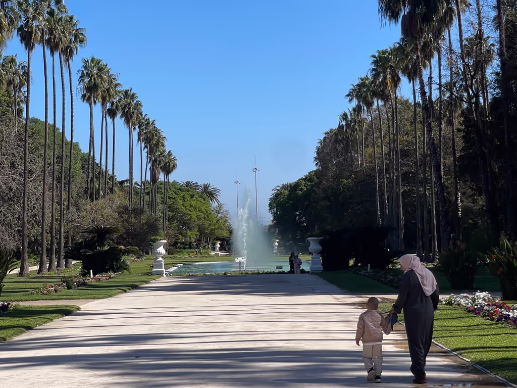 Algiers Private Tour - 