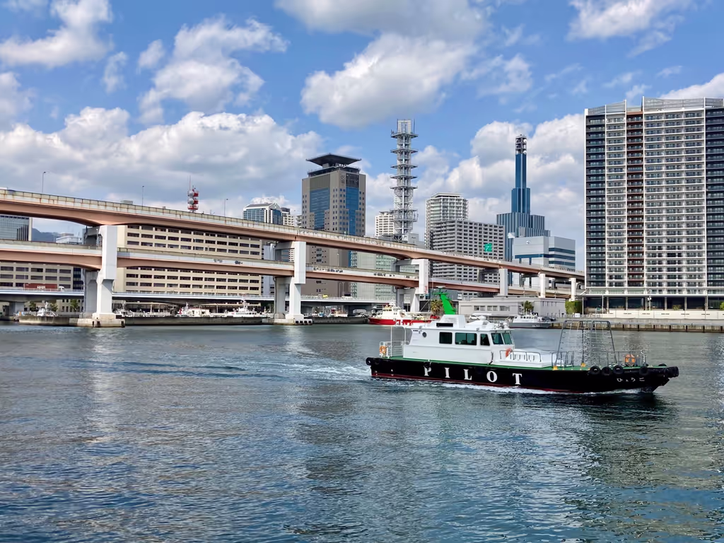 Kobe Private Tour - Kobe’s working harbor and waterfront skyline
